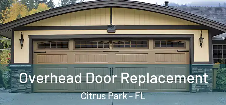  Overhead Door Replacement Citrus Park - FL