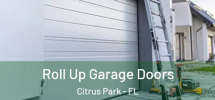  Roll Up Garage Doors Citrus Park - FL