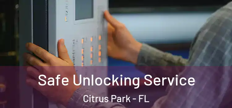 Safe Unlocking Service Citrus Park - FL