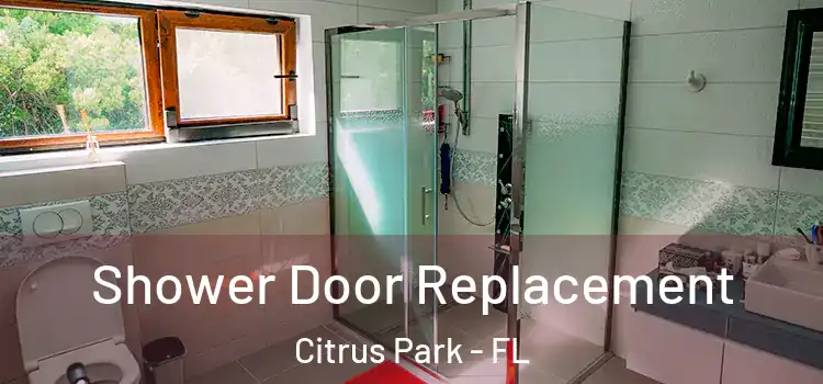 Shower Door Replacement Citrus Park - FL