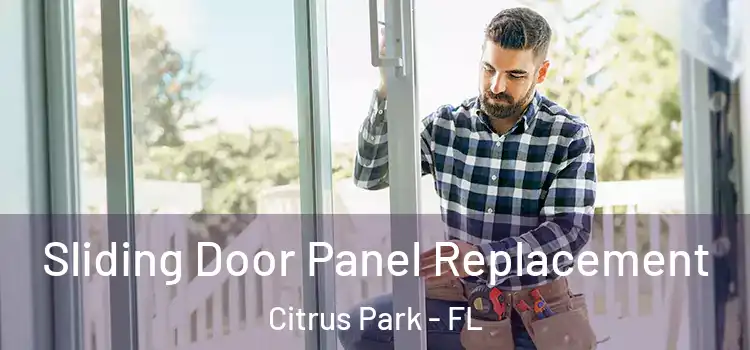  Sliding Door Panel Replacement Citrus Park - FL