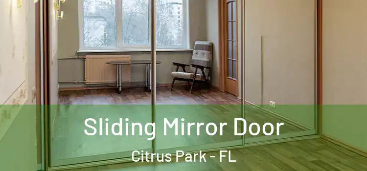  Sliding Mirror Door Citrus Park - FL