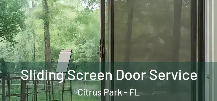 Sliding Screen Door Service Citrus Park - FL